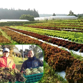 (NPO法人) ハンサムガーデン紹介