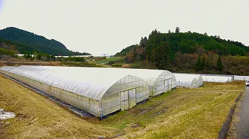 前川農園