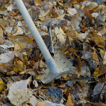 (有) 山口農園紹介