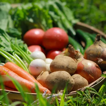 (有) 類農園紹介